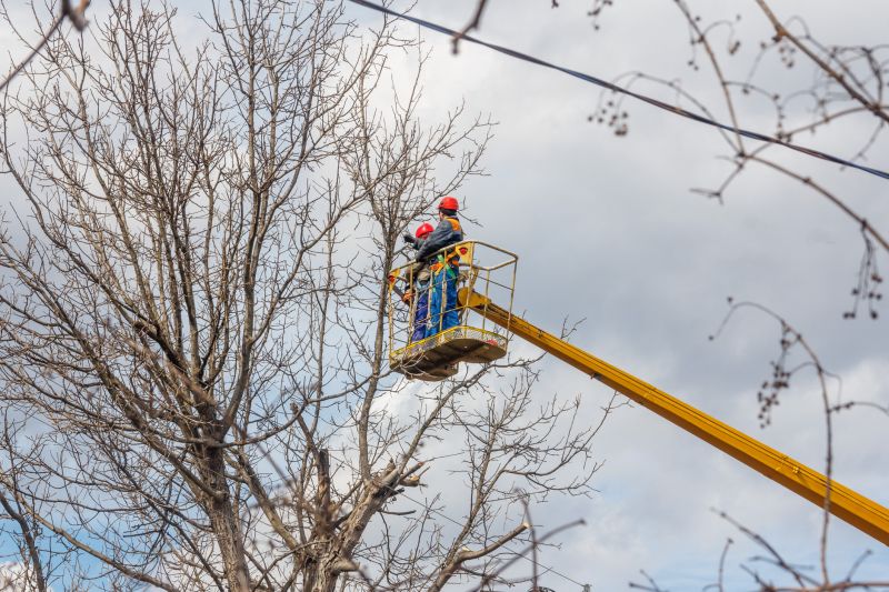Flowering Tree Trimming