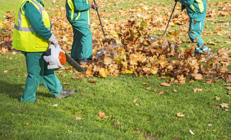 Leaf Blowing Benefits