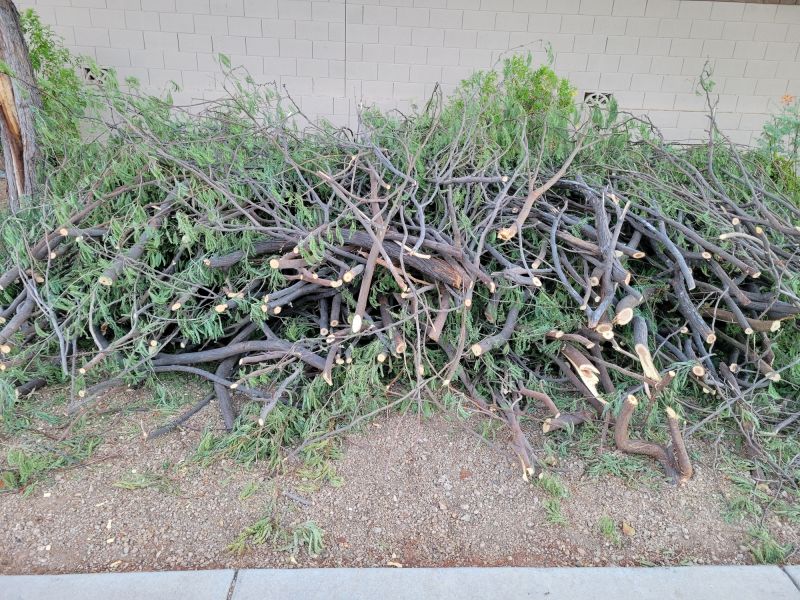 Flowering Tree Trimming