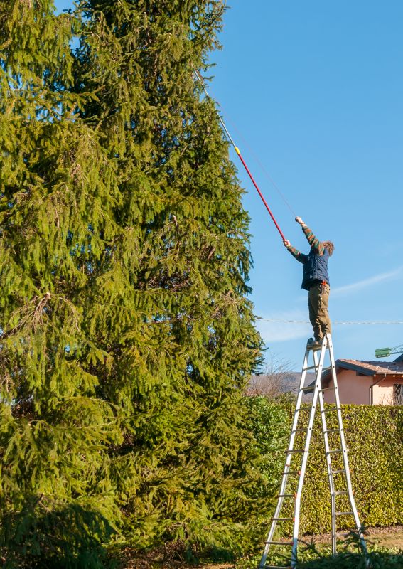 Flowering Tree Trimming