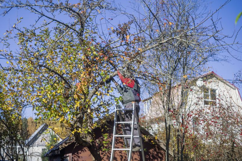 Flowering Tree Trimming