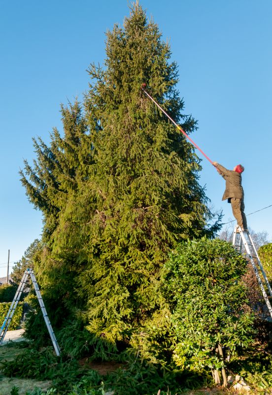 Flowering Tree Trimming