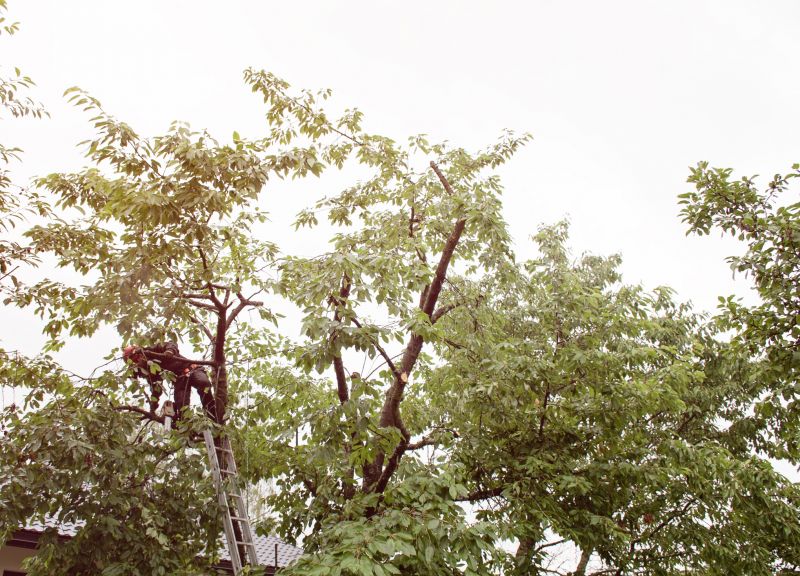 Flowering Tree Trimming