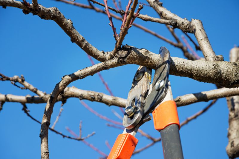 Flowering Tree Trimming