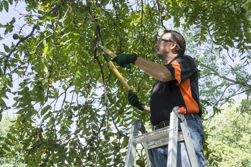 Flowering Tree Trimming