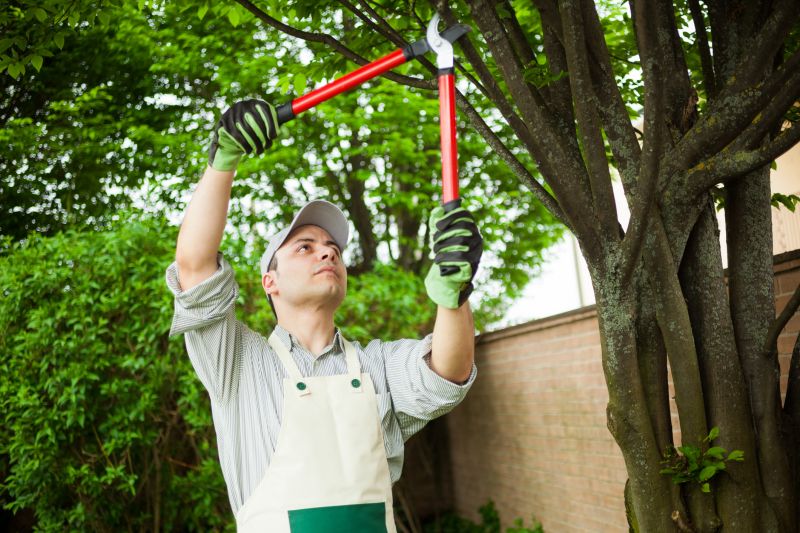 Pruning a Flowering Tree